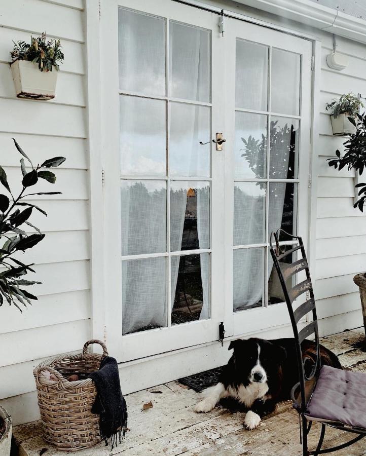 Thistle And Pine Cottage Farmstay Tauranga Exteriör bild